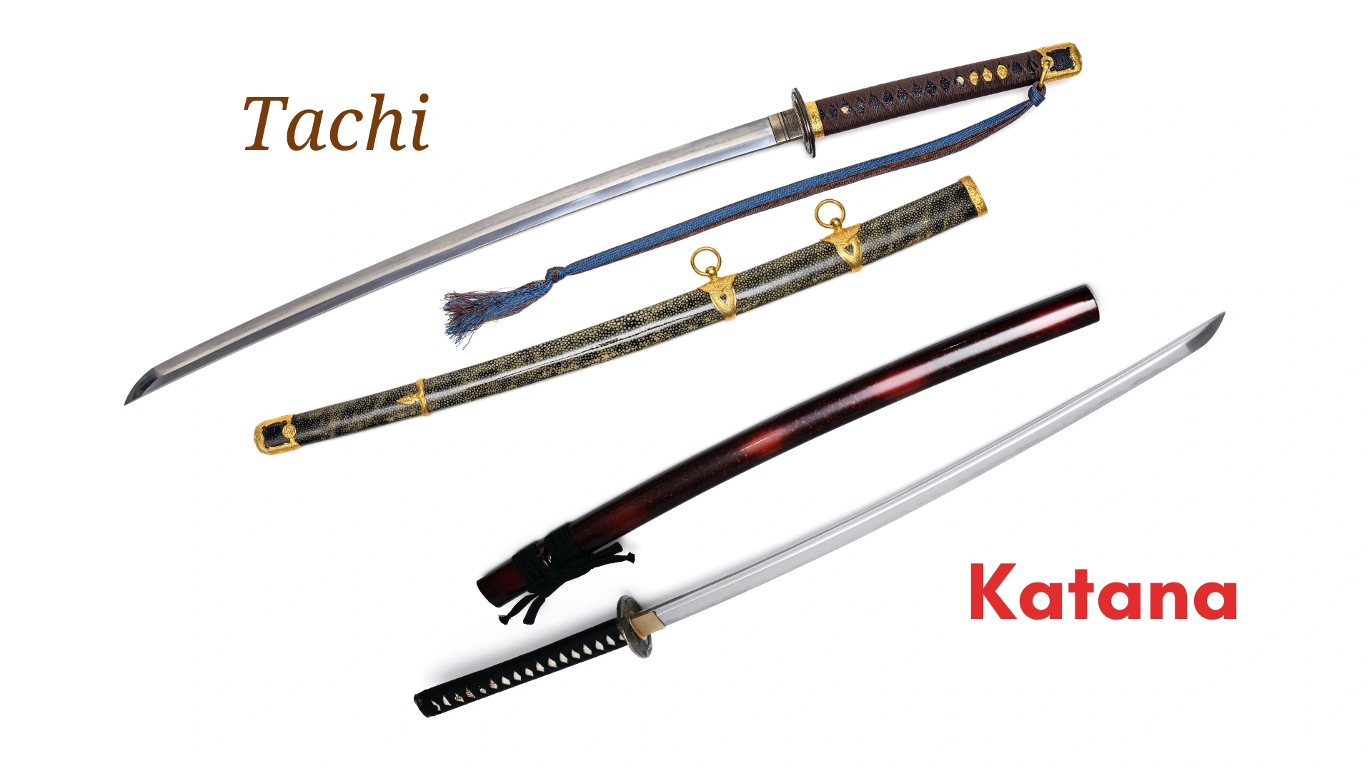 Tachi vs Katana