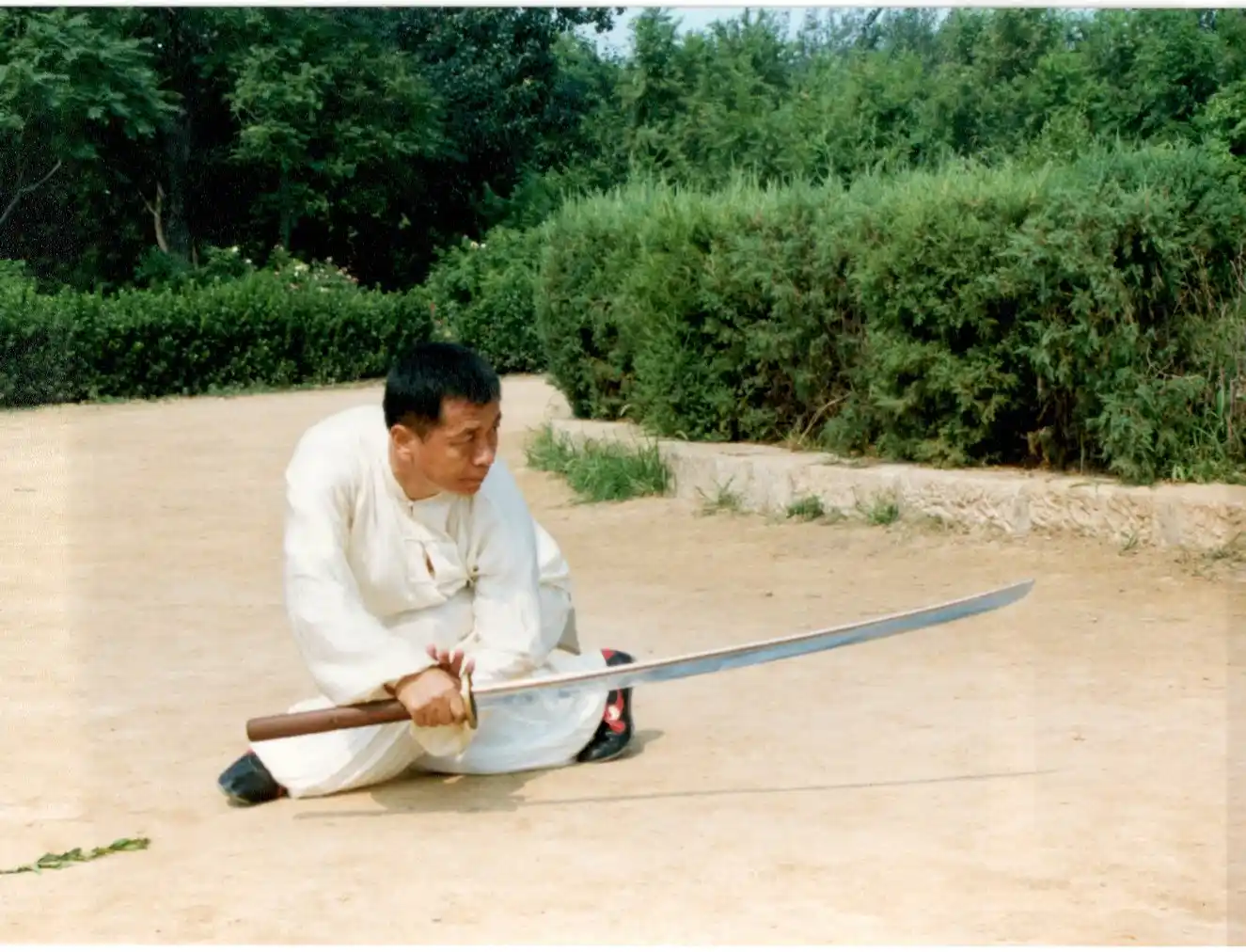 Chinese miadao