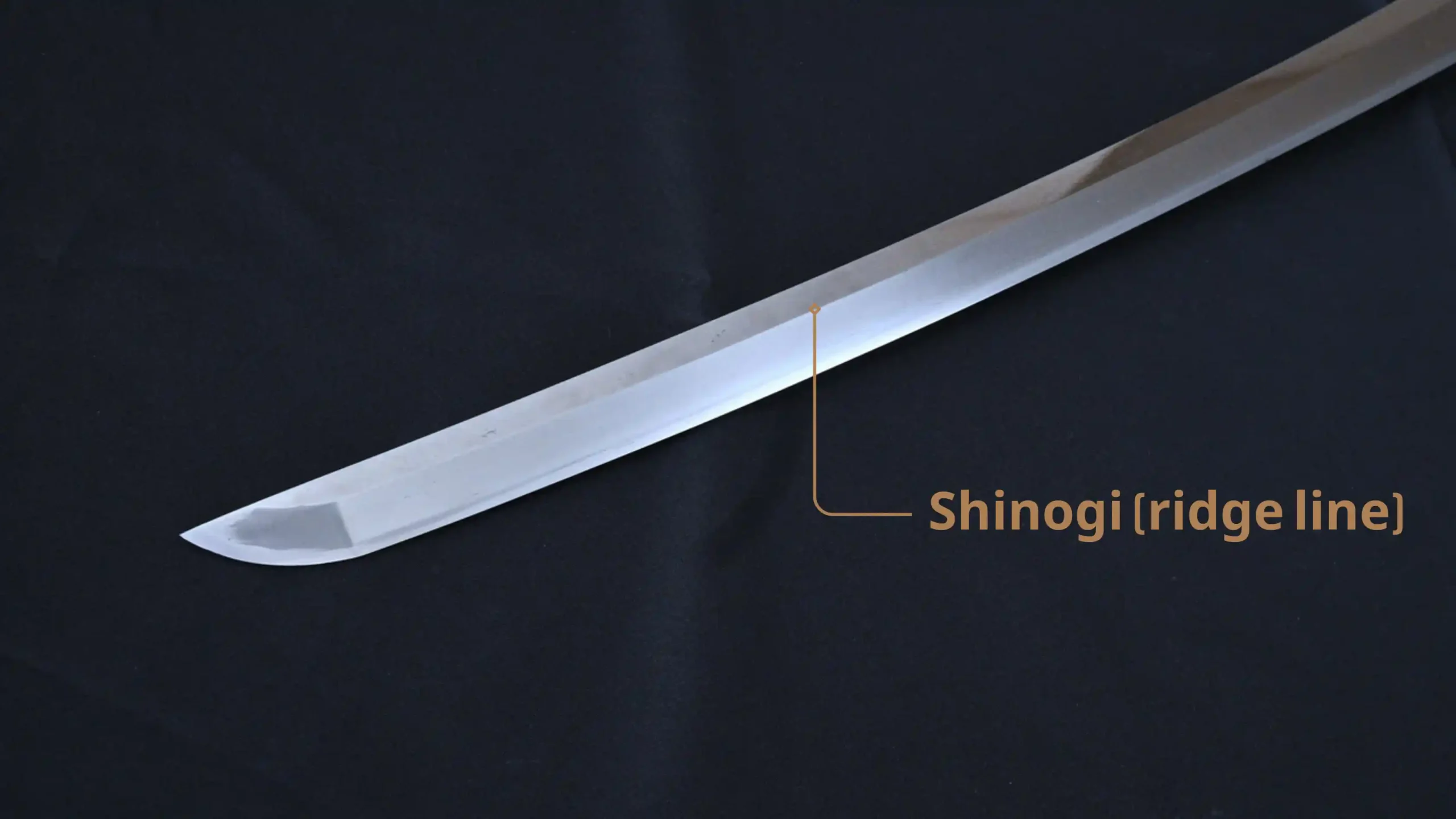 The shinogi of a katana that doesn't include a bo-hi